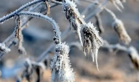 Yer yer don bekleniyor: Hava parçalı ve az bulutlu olacak